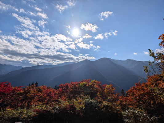 三峰神社へ参拝しました【スタッフ日記】