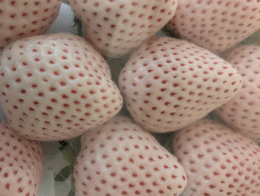 黒いちごに白いちご！？ 今、絶対食べたい「進化系いちご」4品種を徹底ガイド♡