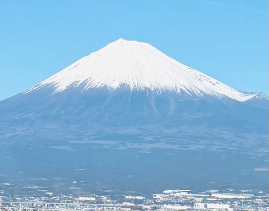 今年もよろしくお願い致します✨