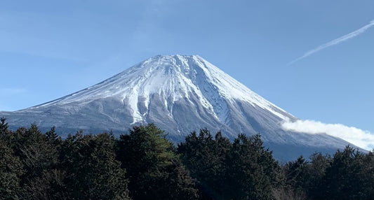 今日も風がすごいですね💦