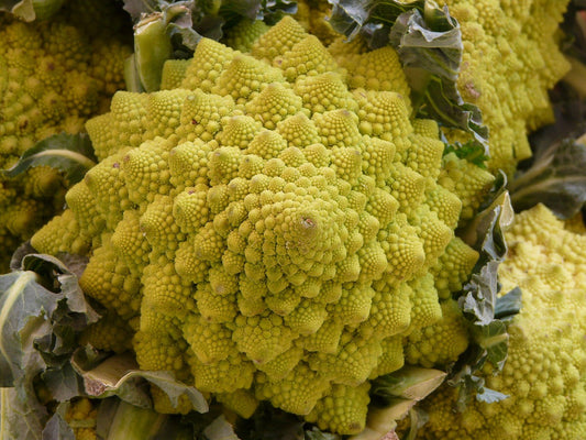 ✨ 宝石のような野菜「ロマネスコ」を知ってる？10月に始める美活！